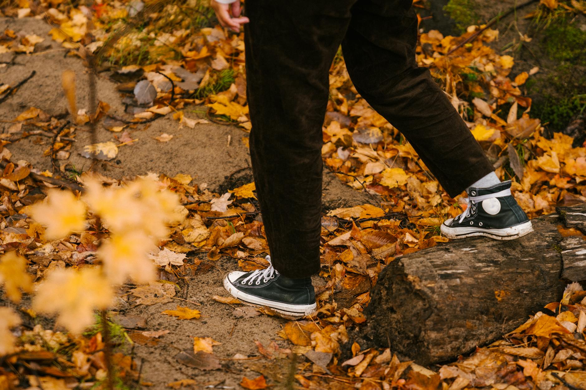 faceless person walking in forest in daytime